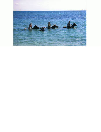 Horse back riding in the Caribbean( me in the yellow)