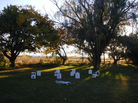 Our front yard during Halloween.