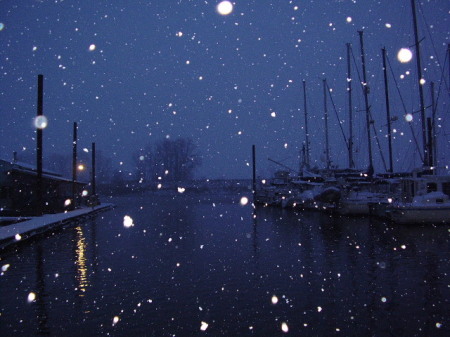 Snow-day  at McCuddy's Landing.