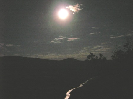 The FULL MOON Hike