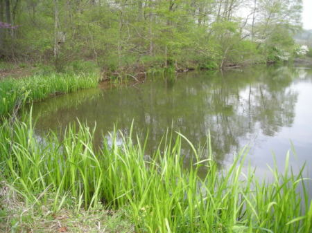 This is the corner opposite the farmhouse corn