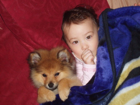 My 2 year old and our new puppy 1/7/2007