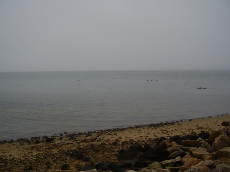 The bay of the shore of Cape Cod