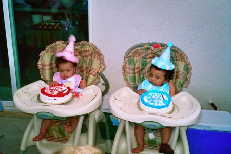 Twins 1st Birthday Party