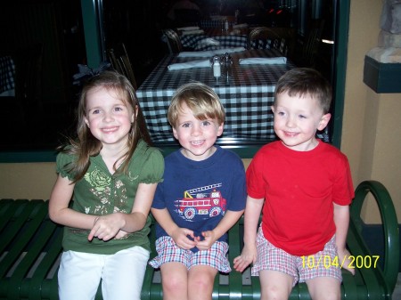 My Grandchildren--Megan, Max and Ryan