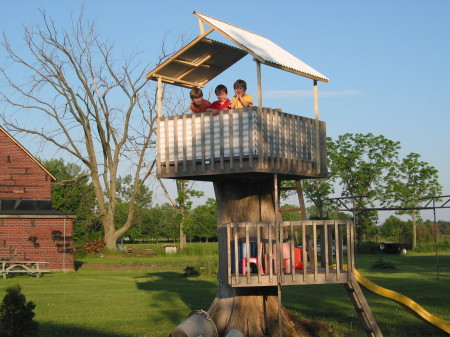 Tree Fort