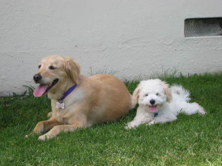 Maggie and her buddy Simba