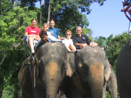 Elephant Rides in Thailand