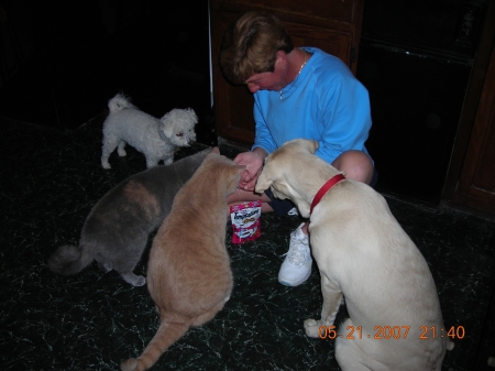 All the kids sharing cat treats.