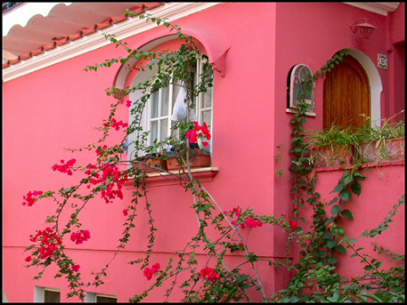 "My Pink House"