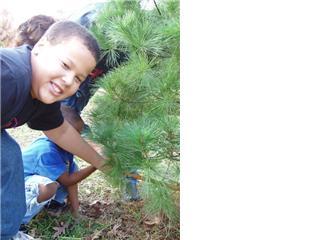 My son cutting down Christmas tree