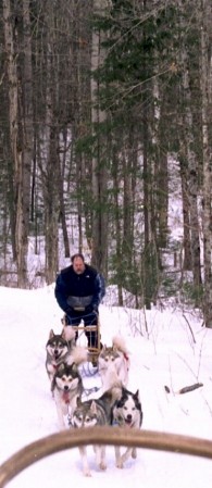 Dog sledding in northern Canada