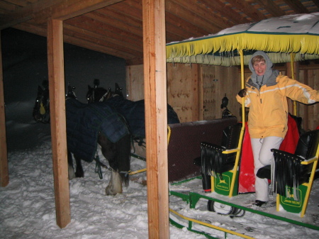 a winter sleigh ride