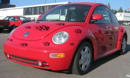 My Dream Car!!!!!!!  I still love ladybugs!