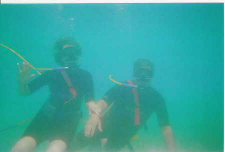 SNUBA diving in Bermuda