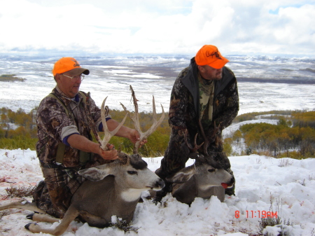 2011 mule deer buck