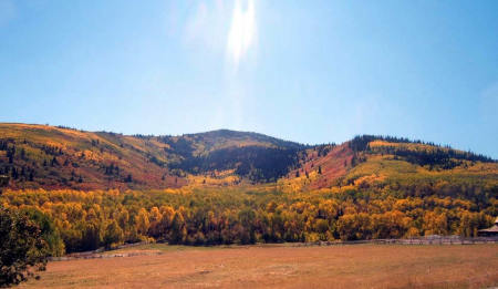 Fall at the Ranch