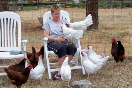 Chicken Lady