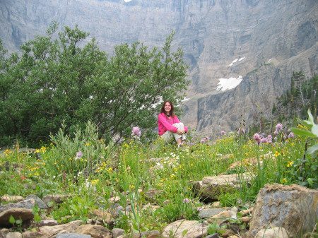 Pretty flowers at Iceberg Lake