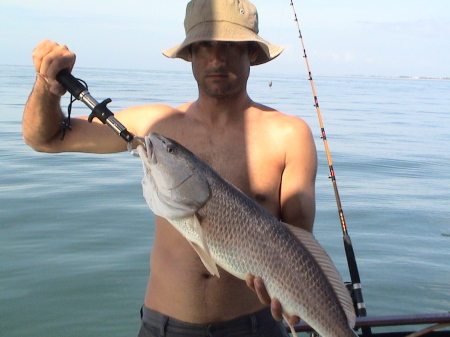 redfish