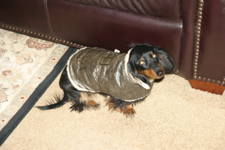 Trying on his new bomber jacket