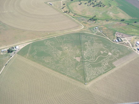 WILD WEST MAZE - Worlds Largest Corn Maze