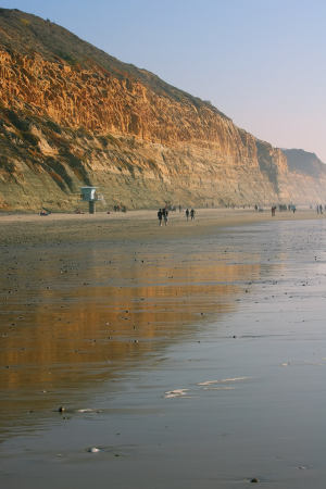 Torry Pines State Beach