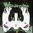 Windopane - Lucky Catatonia album (2nd album)