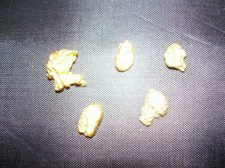 Some of my Gold nuggets