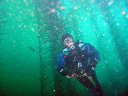 Diving in Monterey, California