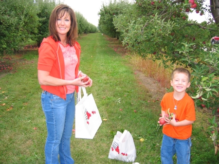 Apple Orchard