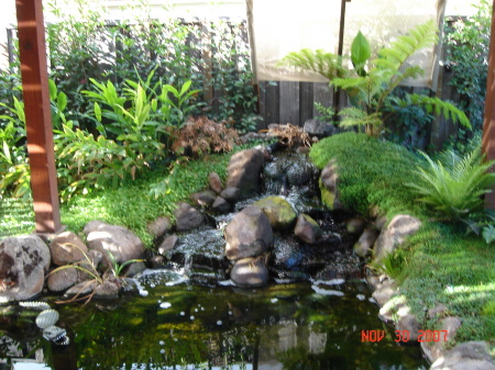 back yard water fall-place of peace