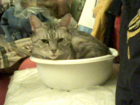 Lucky in my roving bowl