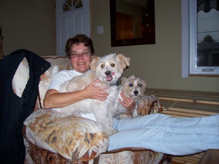 "Grandma" with two grand dogs