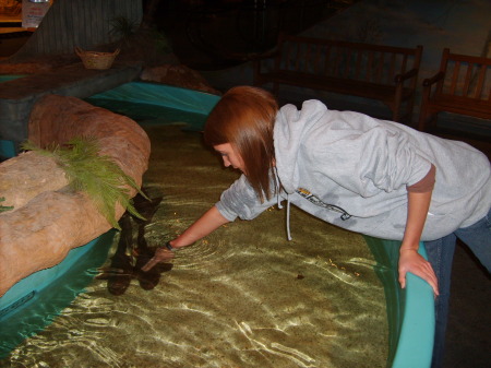 I pet a shark