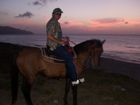 Horsing around on the beach