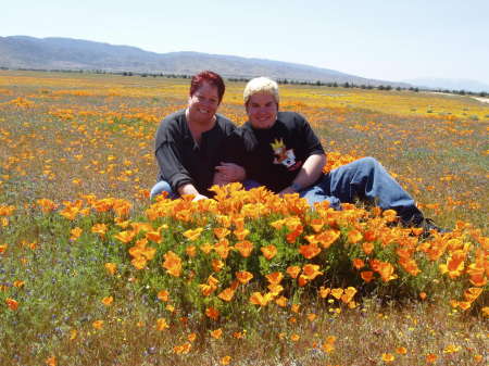 Poppy fields with son