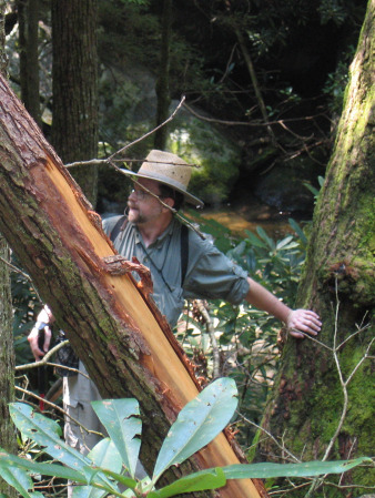 A National Geographic Moment in Pisgah Forest