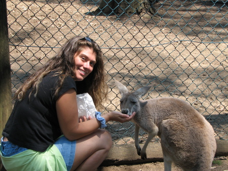 I loved feeding the kangaroos in Australia
