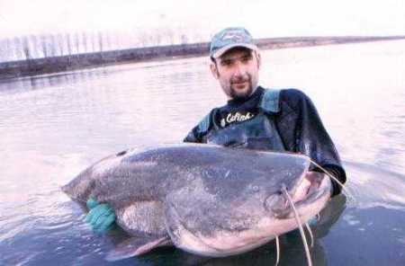 Oklahoma Catfish