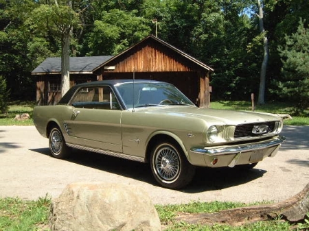 My '66 Mustang...Graduation Year!