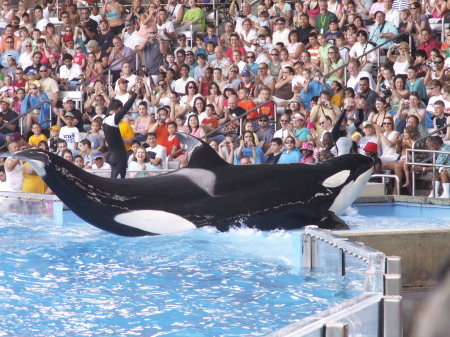 Shamu Believe!!