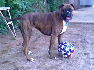 lucy and her soccer ball