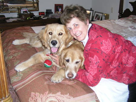 We raise Golden Retrievers--Nugget (Mom) & Gidget (baby)