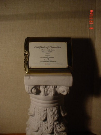 THE CERTIFICATE OF CREMATION