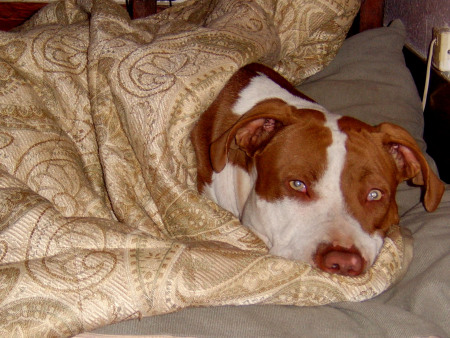 Encontrada in her blanket