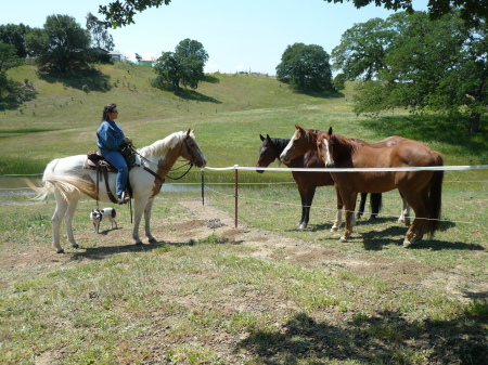 Lee Ann on Sara in pasture with our horse's, A