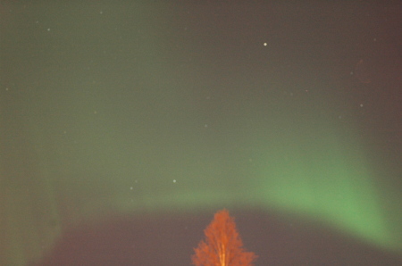 Northern Lights