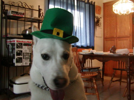 St. Patrick's Puppy