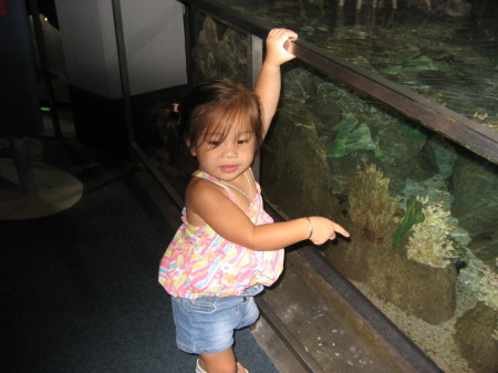 shylien at aquarium